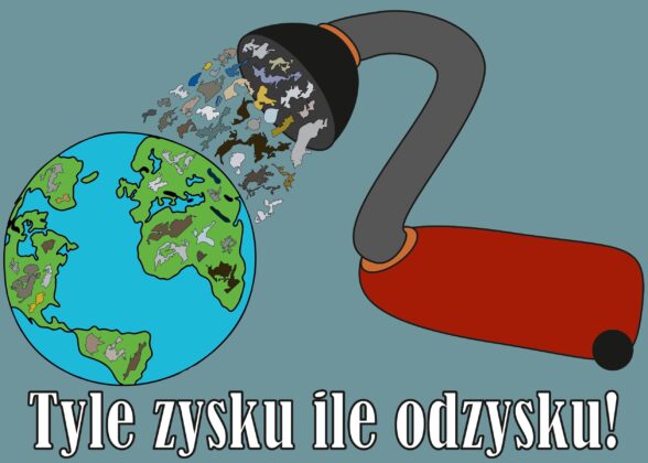 Rafał Dudek - Tyle zysku ile odzysku